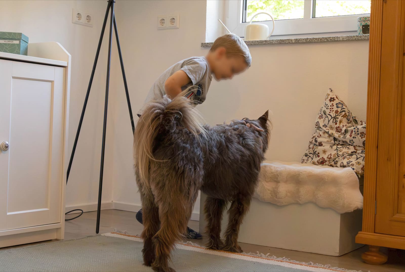 Ein Kind streichelt Therapiebegleithündin Ilvi im Therapieraum